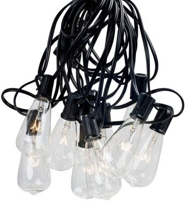 Edison Incand String Light
