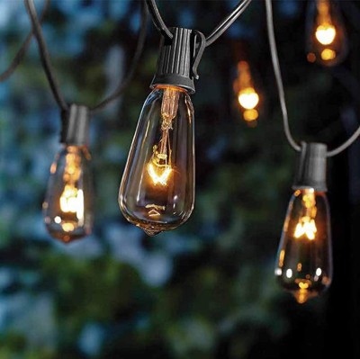 Edison Incand String Light
