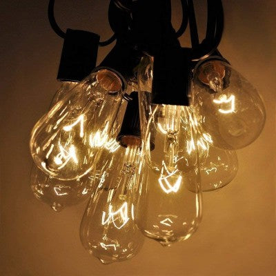 Edison Incand String Light